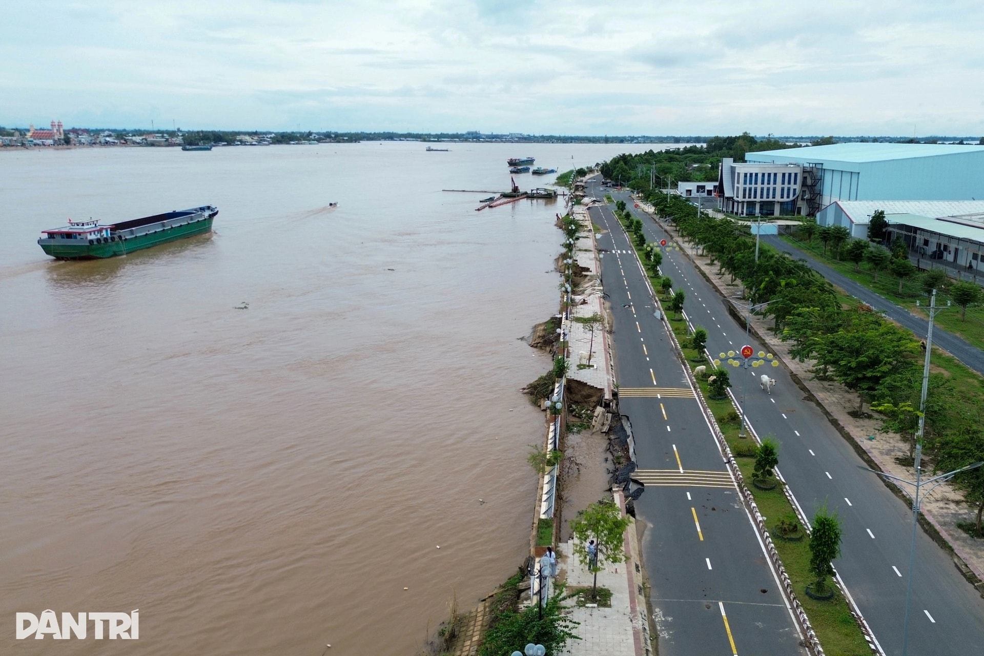 Nông dân miền Tây lo mất Tết vì sạt lở, vỡ đê, nước ngập bủa vây - 3