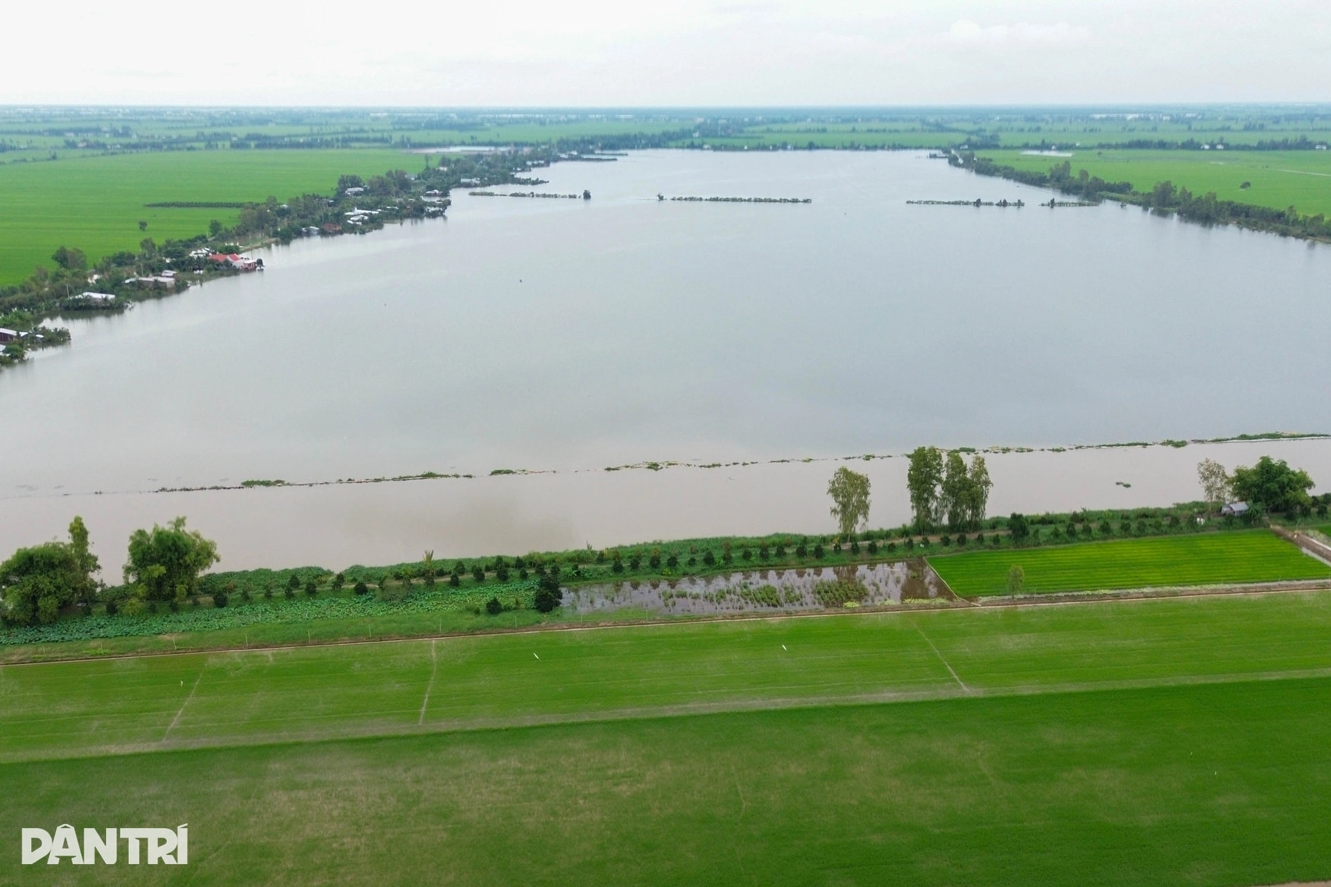 Nông dân miền Tây lo mất Tết vì sạt lở, vỡ đê, nước ngập bủa vây - 5