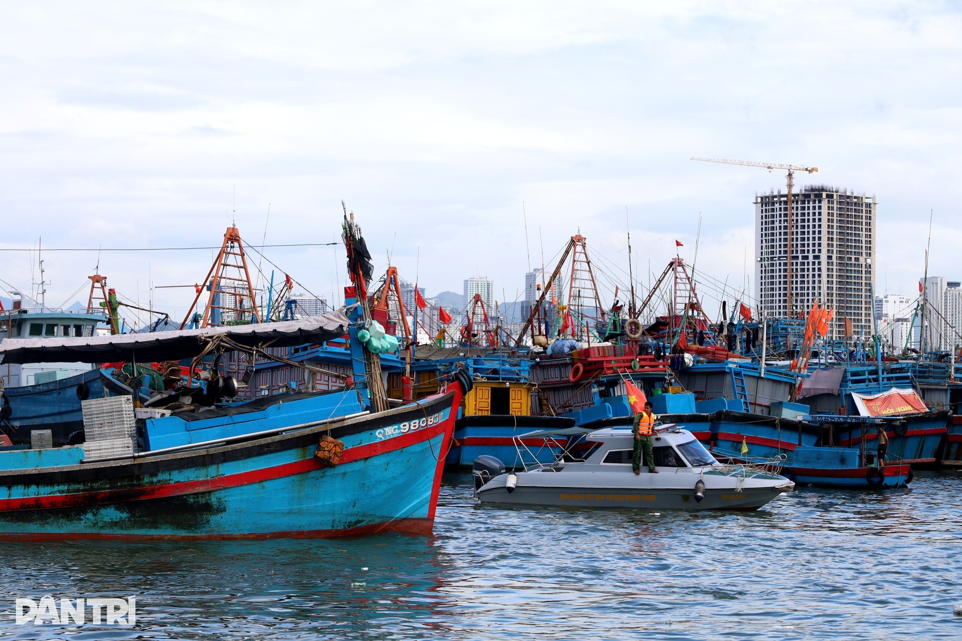 Chấp nhận lỗ cả trăm triệu đồng, ngư dân vượt sóng về tránh bão Kalmaegi - 1