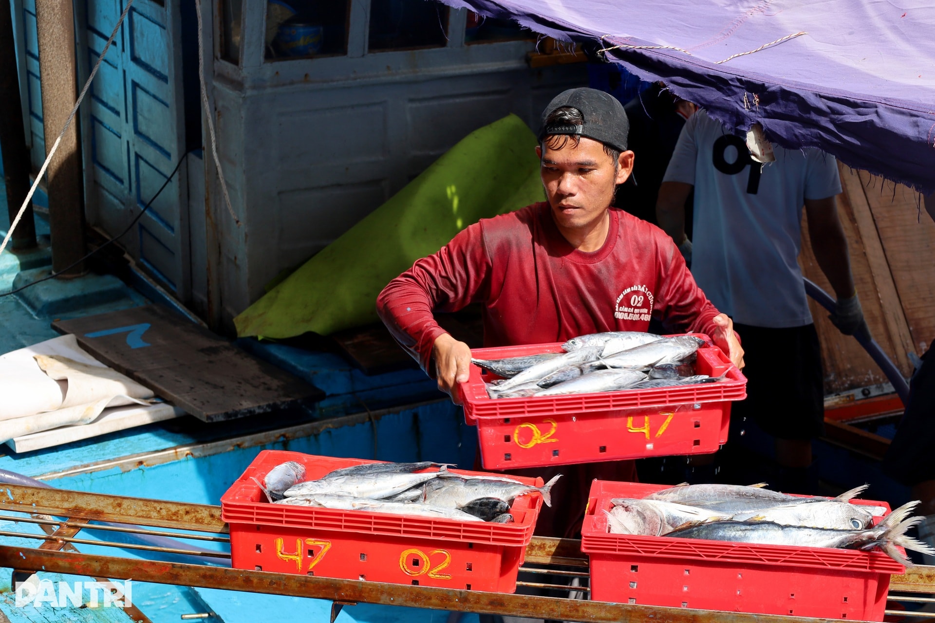 Chấp nhận lỗ cả trăm triệu đồng, ngư dân vượt sóng về tránh bão Kalmaegi - 2