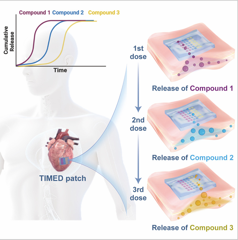 Cơ chế của miếng dán tim (Cell)