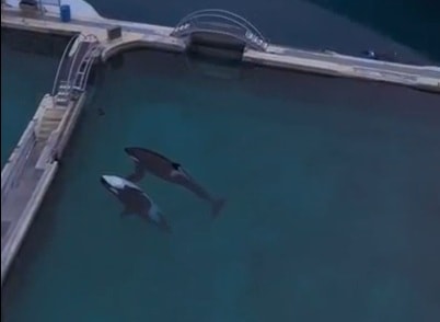 Phát hiện chấn động trong công viên biển bỏ hoang ở Pháp - Ảnh 1. Phát hiện chấn động trong công viên biển bỏ hoang ở Pháp - Ảnh 1.