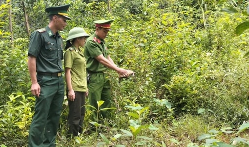 Người dân vùng biển bắt được con vật hiếm thấy - Ảnh 1. Người dân vùng biển bắt được con vật hiếm thấy - Ảnh 1.