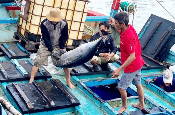 Tây Nguyên - Nam Trung Bộ: Cực tăng trưởng mới (*): Xây dựng chuỗi giá trị - Ảnh 1. Tây Nguyên - Nam Trung Bộ: Cực tăng trưởng mới (*): Xây dựng chuỗi giá trị - Ảnh 1.