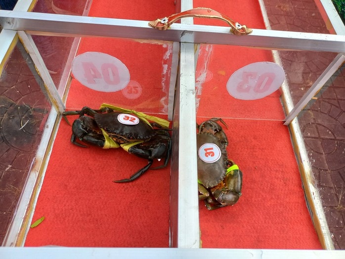 Nhiều trò chơi dân gian hấp dẫn tại Ngày hội cua Cà Mau - Ảnh 3.