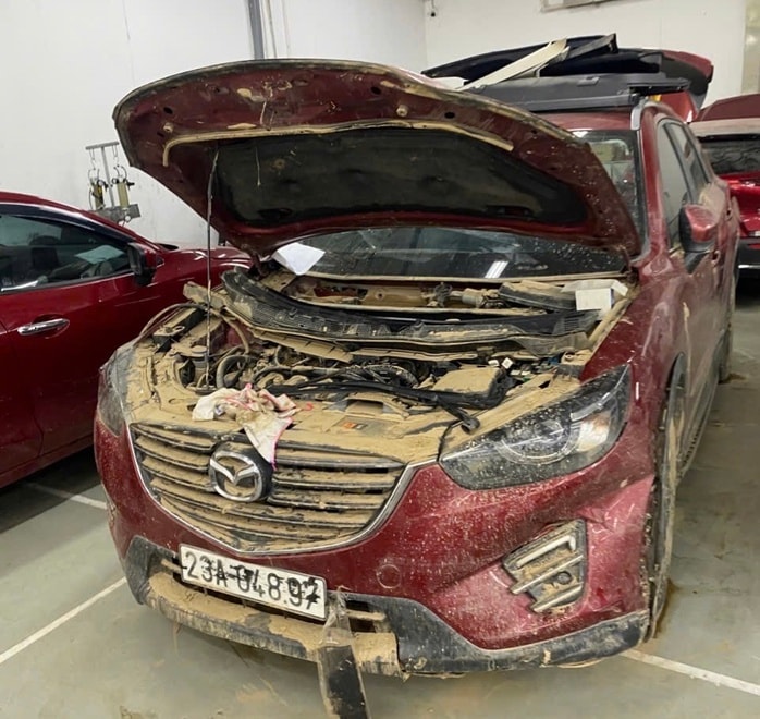 - Ảnh 1. - Ảnh 1.