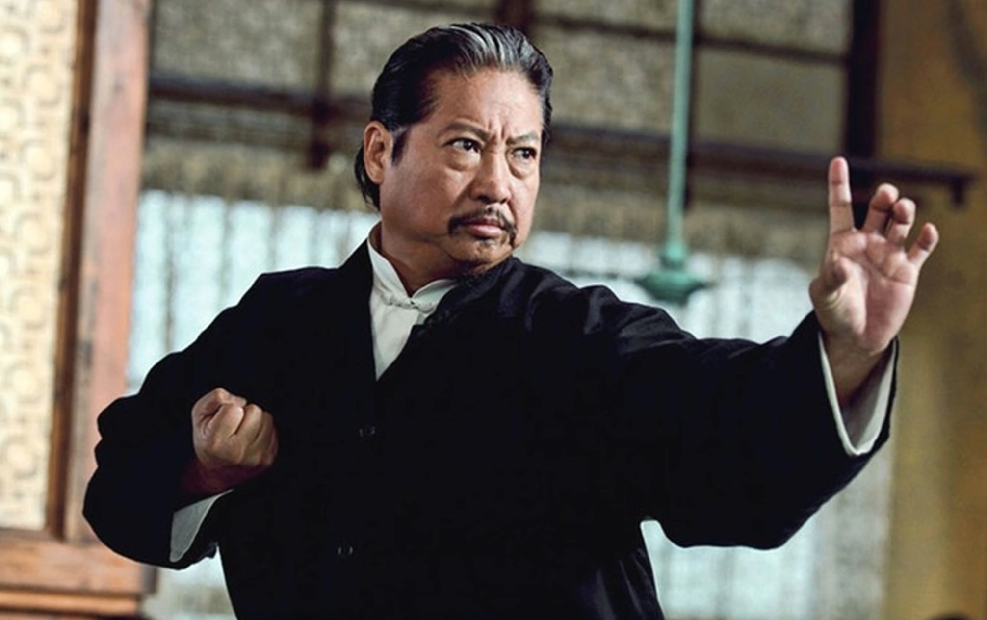 Hồng Kim Bảo là một trong những ngôi sao võ thuật hàng đầu của Hoa ngữ.