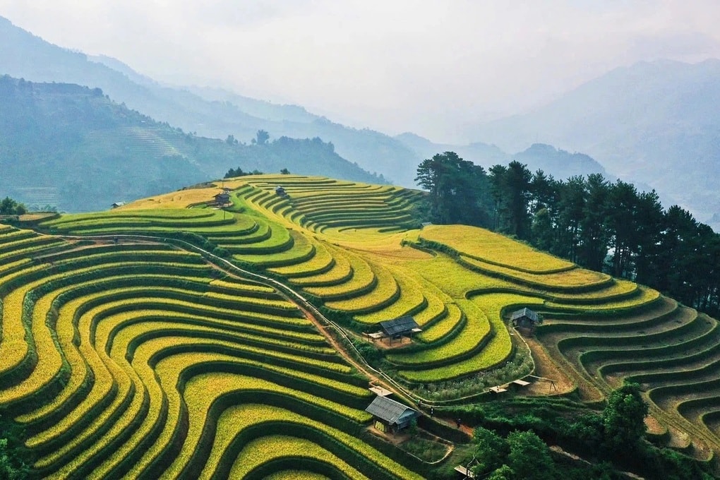 Du lịch nông thôn gắn với bảo tồn di sản - chìa khóa của phát triển xanh - 1