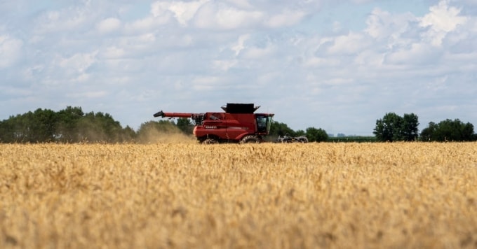 Lúa mỳ đang được thu hoạch tại Oklahoma (Mỹ). Ảnh: Reuters