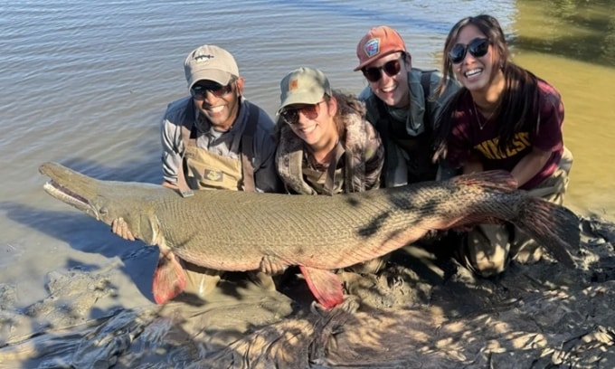 Con cá sấu hỏa tiễn lớn cần tới 4 người khiêng. Ảnh: Solomon David