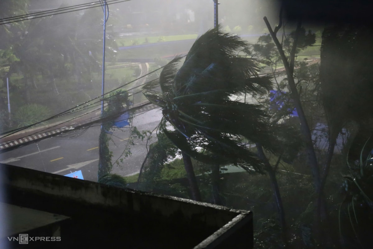 z7196045939193-bf72b47db451e45-3529-3456