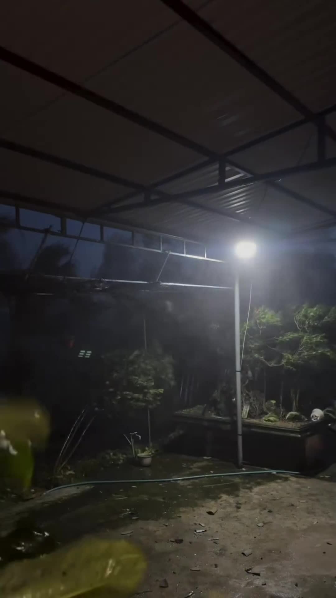 Mất nơi trú ẩn trong đêm bão Kalmaegi