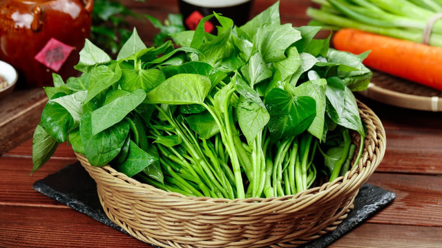 Đừng chỉ ăn củ, lá loại cây này quý như "nhân sâm người nghèo", ở quê rất nhiều bỏ qua quá phí - Ảnh 1.