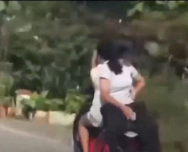 - Ảnh 1. - Ảnh 1.