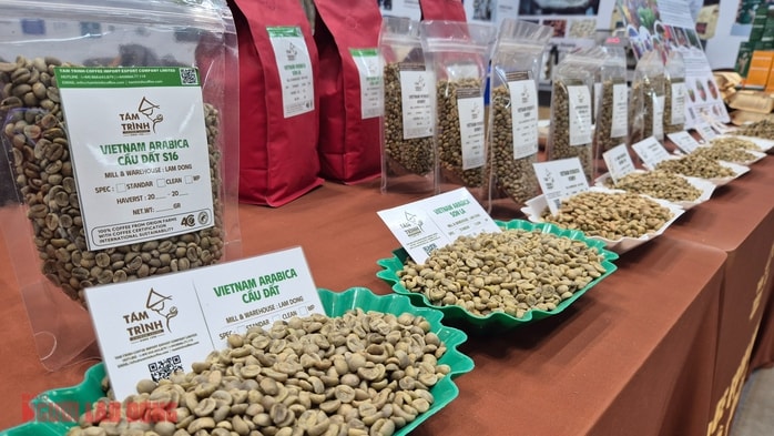 Giá cà phê hôm nay 6-11: Hàng giao ngay lại nóng - Ảnh 1.