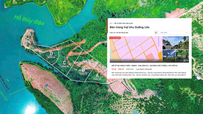 Rục rịch săn đất làm khu dưỡng lão - Ảnh 1. Rục rịch săn đất làm khu dưỡng lão - Ảnh 1.