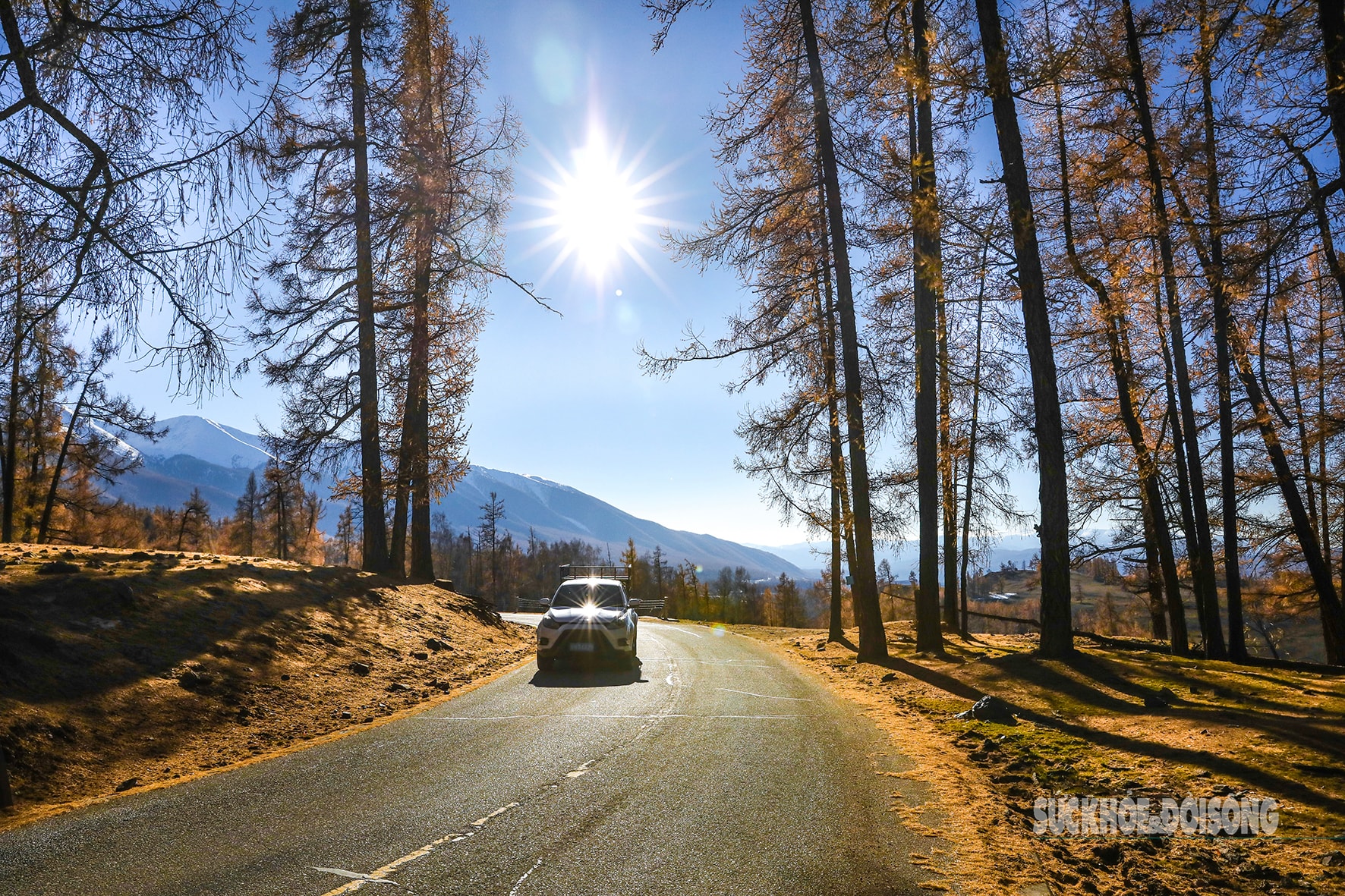 Mùa thu ở Tân Cương trải dài như dải lụa vàng giữa trời và đất- Ảnh 9. Mùa thu ở Tân Cương trải dài như dải lụa vàng giữa trời và đất- Ảnh 9.