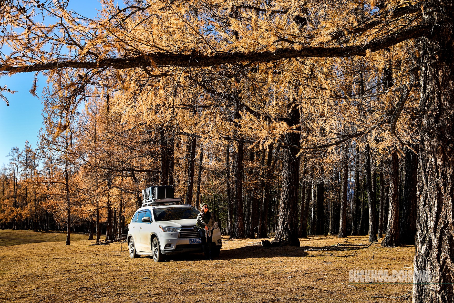 Mùa thu ở Tân Cương trải dài như dải lụa vàng giữa trời và đất- Ảnh 11. Mùa thu ở Tân Cương trải dài như dải lụa vàng giữa trời và đất- Ảnh 11.