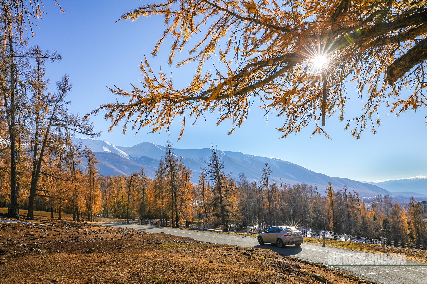 Mùa thu ở Tân Cương trải dài như dải lụa vàng giữa trời và đất- Ảnh 10. Mùa thu ở Tân Cương trải dài như dải lụa vàng giữa trời và đất- Ảnh 10.