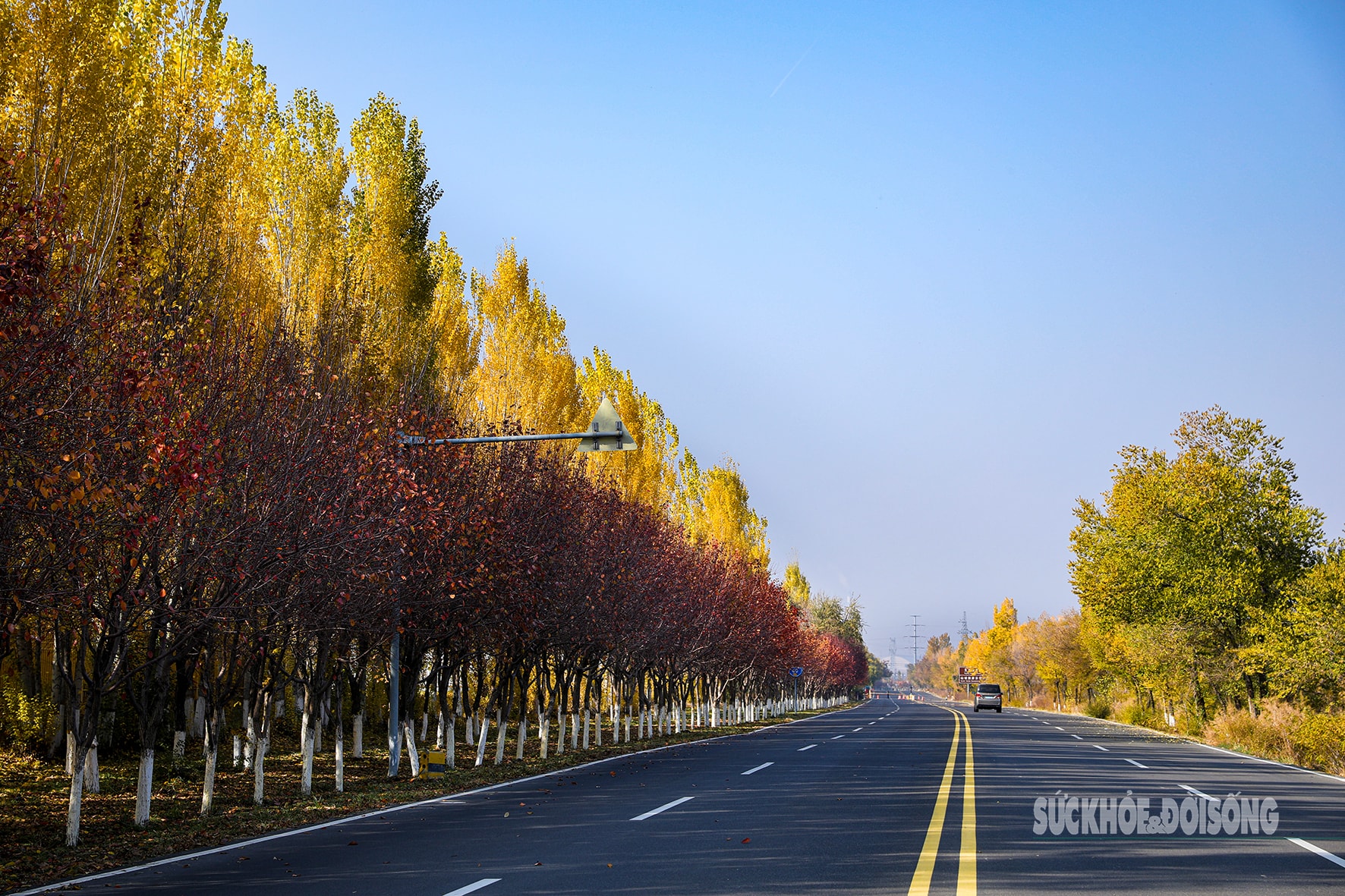 Mùa thu ở Tân Cương trải dài như dải lụa vàng giữa trời và đất- Ảnh 8. Mùa thu ở Tân Cương trải dài như dải lụa vàng giữa trời và đất- Ảnh 8.