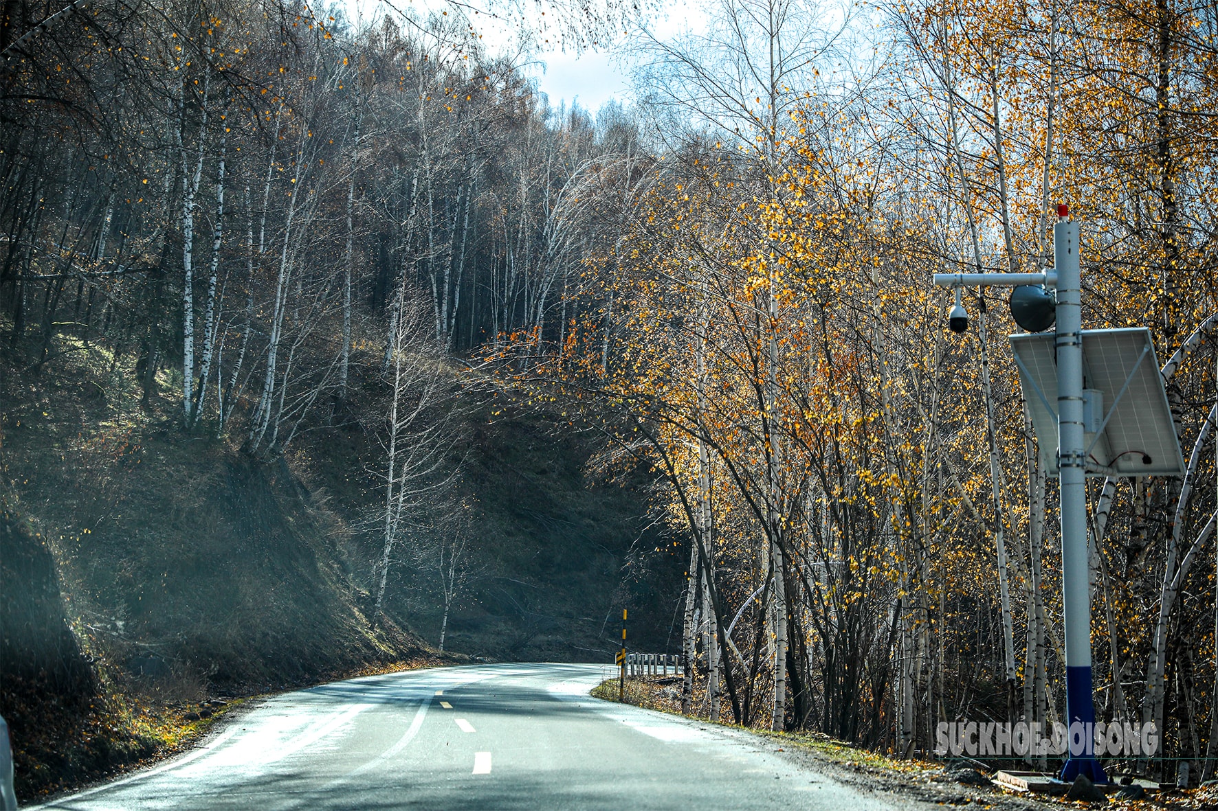 Mùa thu ở Tân Cương trải dài như dải lụa vàng giữa trời và đất- Ảnh 7. Mùa thu ở Tân Cương trải dài như dải lụa vàng giữa trời và đất- Ảnh 7.