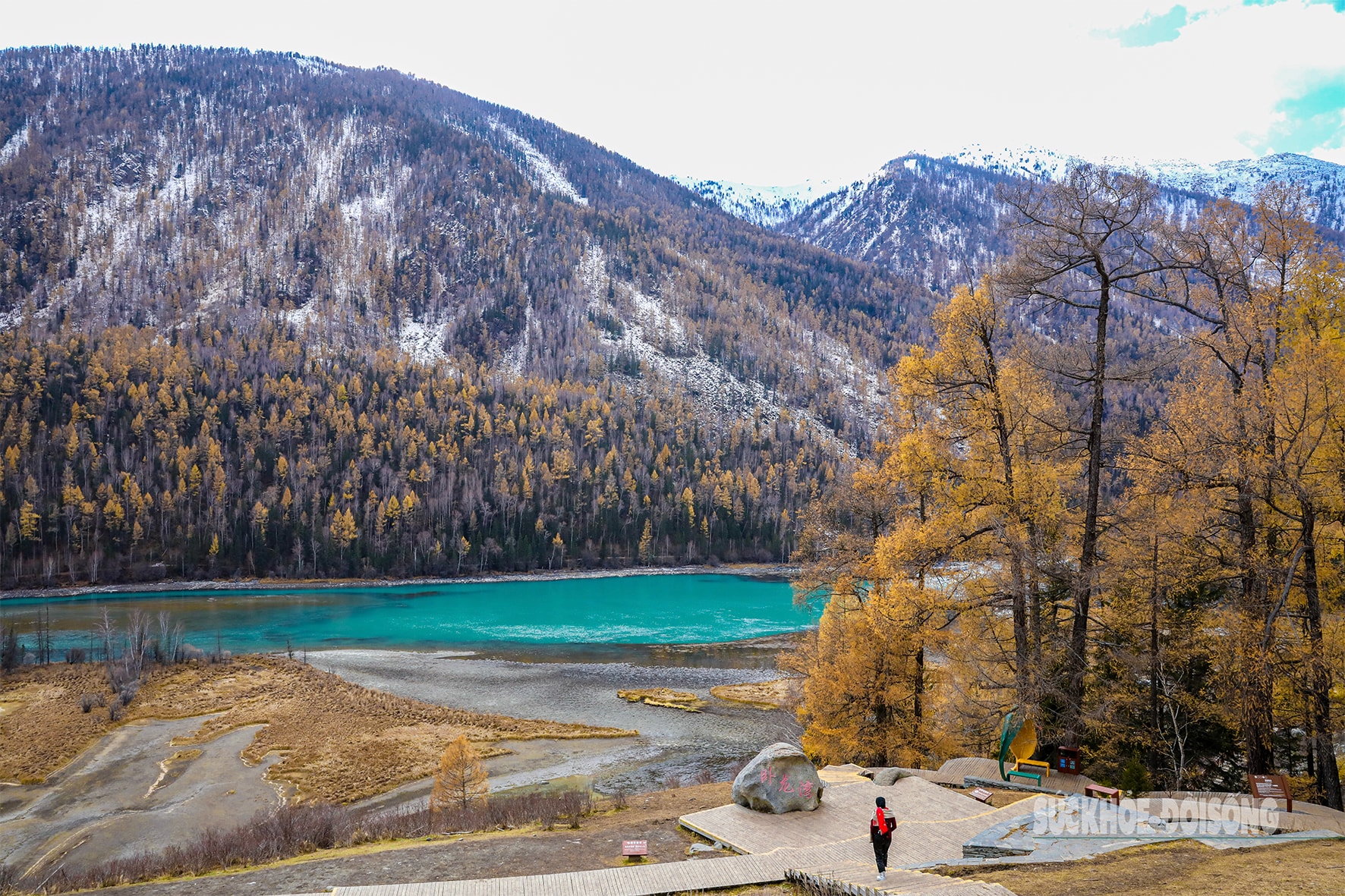 Mùa thu ở Tân Cương trải dài như dải lụa vàng giữa trời và đất- Ảnh 1. Mùa thu ở Tân Cương trải dài như dải lụa vàng giữa trời và đất- Ảnh 1.