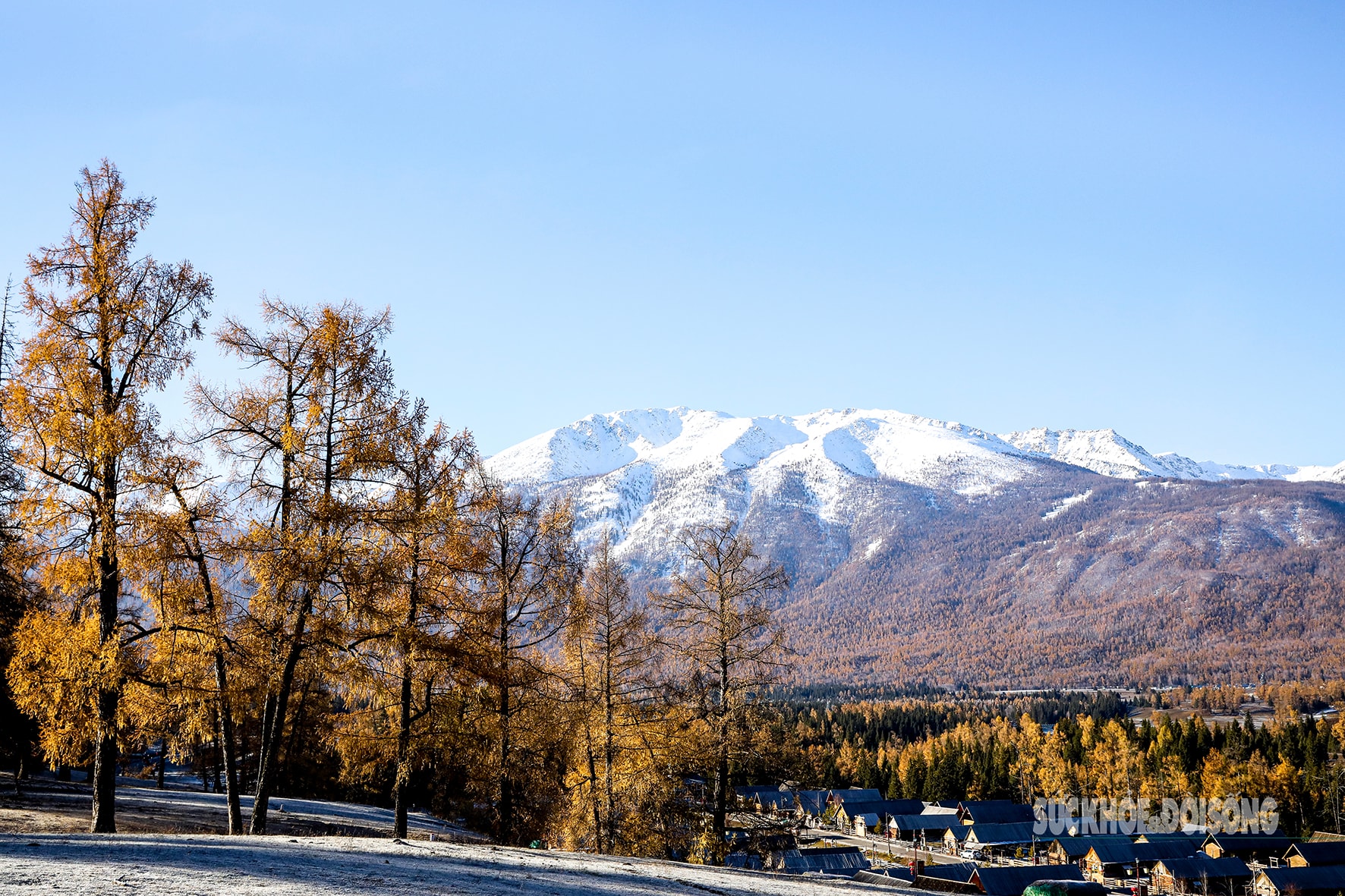Mùa thu ở Tân Cương trải dài như dải lụa vàng giữa trời và đất- Ảnh 13. Mùa thu ở Tân Cương trải dài như dải lụa vàng giữa trời và đất- Ảnh 13.