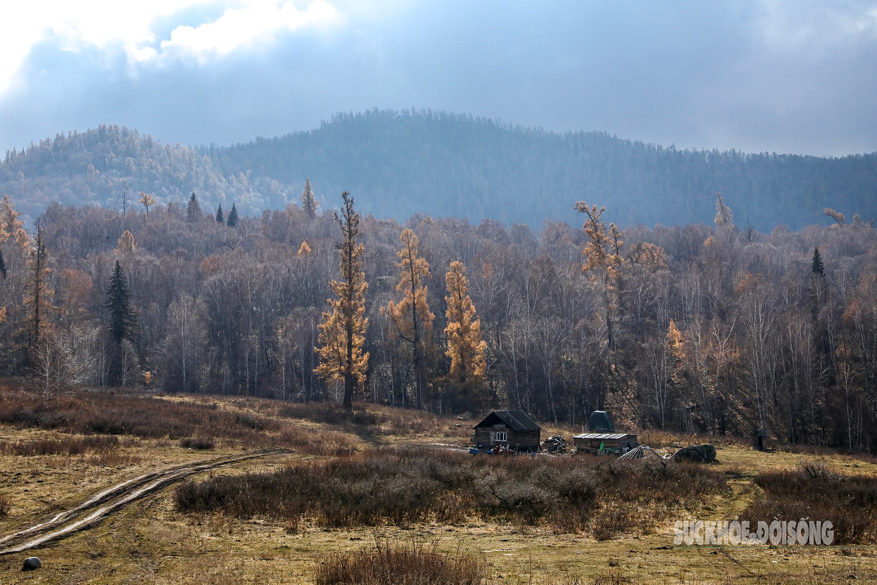 Mùa thu ở Tân Cương trải dài như dải lụa vàng giữa trời và đất- Ảnh 4. Mùa thu ở Tân Cương trải dài như dải lụa vàng giữa trời và đất- Ảnh 4.