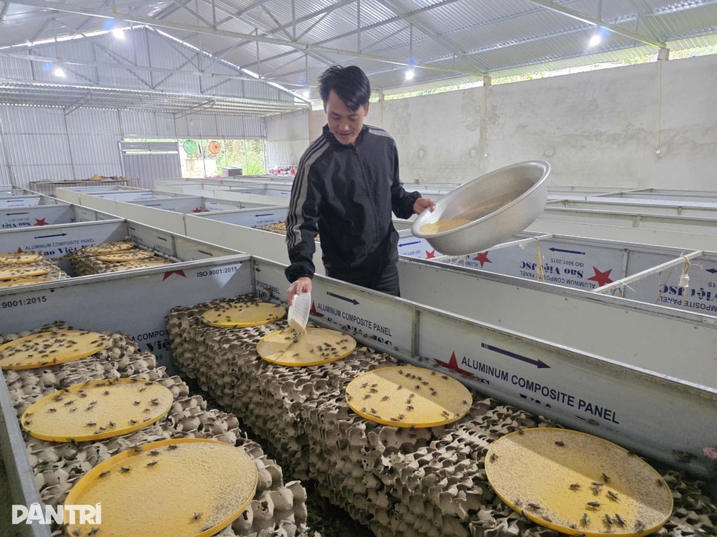 Bỏ phố cảng về bản khởi nghiệp, người đàn ông trở thành triệu phú - 1