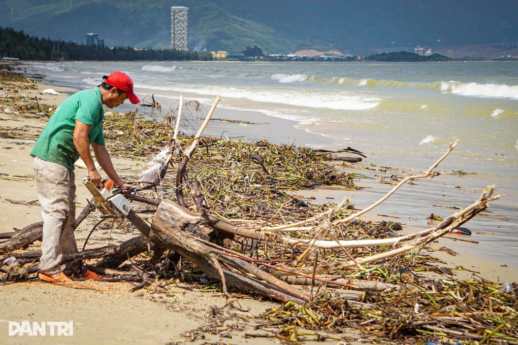Người dân ra biển nhặt gỗ sau bão Kalmaegi, kiếm tiền triệu - 1 Người dân ra biển nhặt gỗ sau bão Kalmaegi, kiếm tiền triệu - 1
