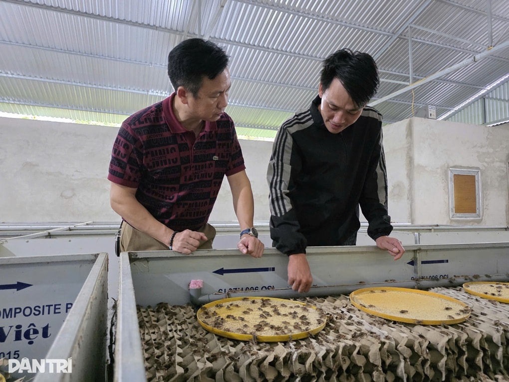 Bỏ phố cảng về bản khởi nghiệp, người đàn ông trở thành triệu phú - 2