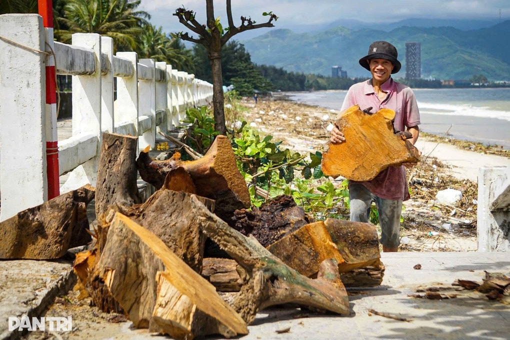 Người dân ra biển nhặt gỗ sau bão Kalmaegi, kiếm tiền triệu - 2 Người dân ra biển nhặt gỗ sau bão Kalmaegi, kiếm tiền triệu - 2