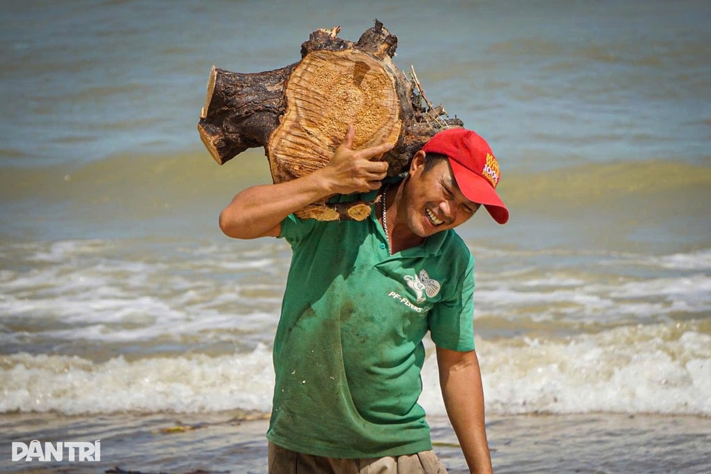 Người dân ra biển nhặt gỗ sau bão Kalmaegi, kiếm tiền triệu - 3 Người dân ra biển nhặt gỗ sau bão Kalmaegi, kiếm tiền triệu - 3