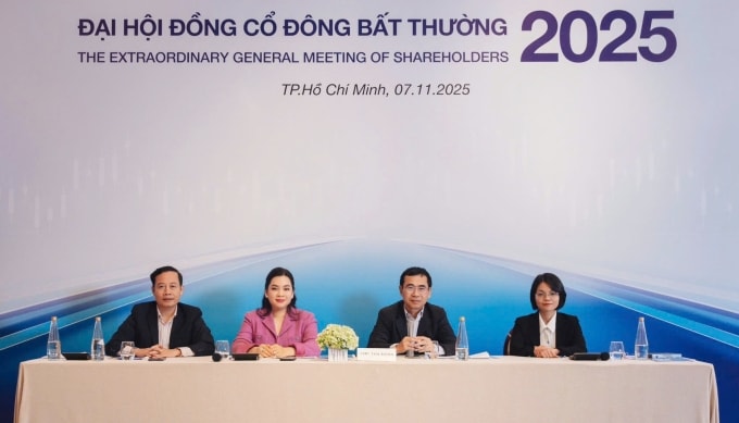 Bà Nguyễn Thanh Phượng và ông Tô Hải (lần lượt thứ hai và thứ ba từ trái qua) tại phiên họp chiều 7/11. Ảnh: Vietcap