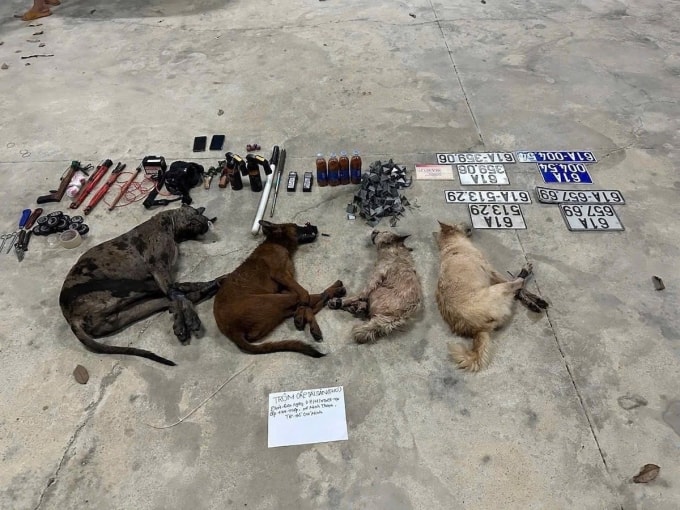 Tang vật thu giữ trong ôtô của nhóm trộm chó. Ảnh: Thái Hà