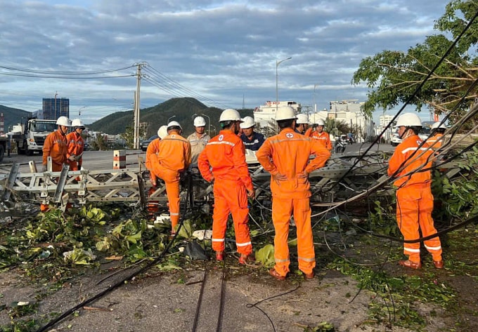 Khắc phục đường dây do cây ngã đổ sáng 7/11. Ảnh: Ngọc Thạch