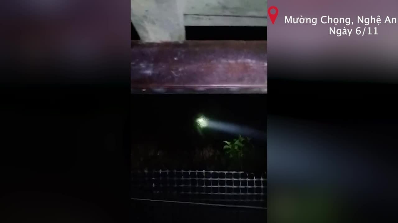 Voi rừng vào nhà dân tìm thức ăn