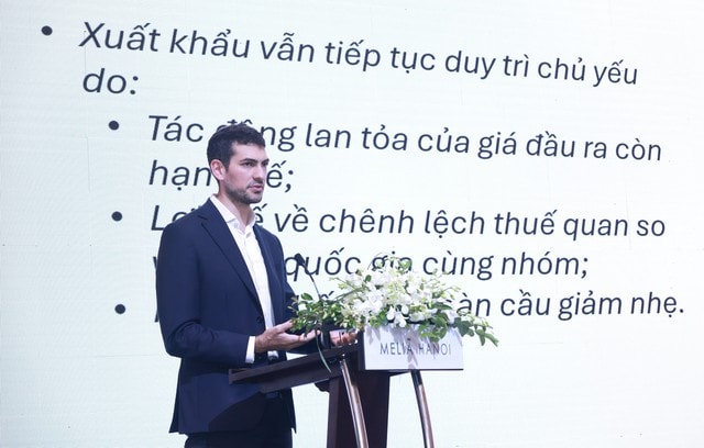 CEO MB Phạm Như Ánh: “Đầu tư công có tác động dẫn dắt cả nền kinh tế”- Ảnh 1.