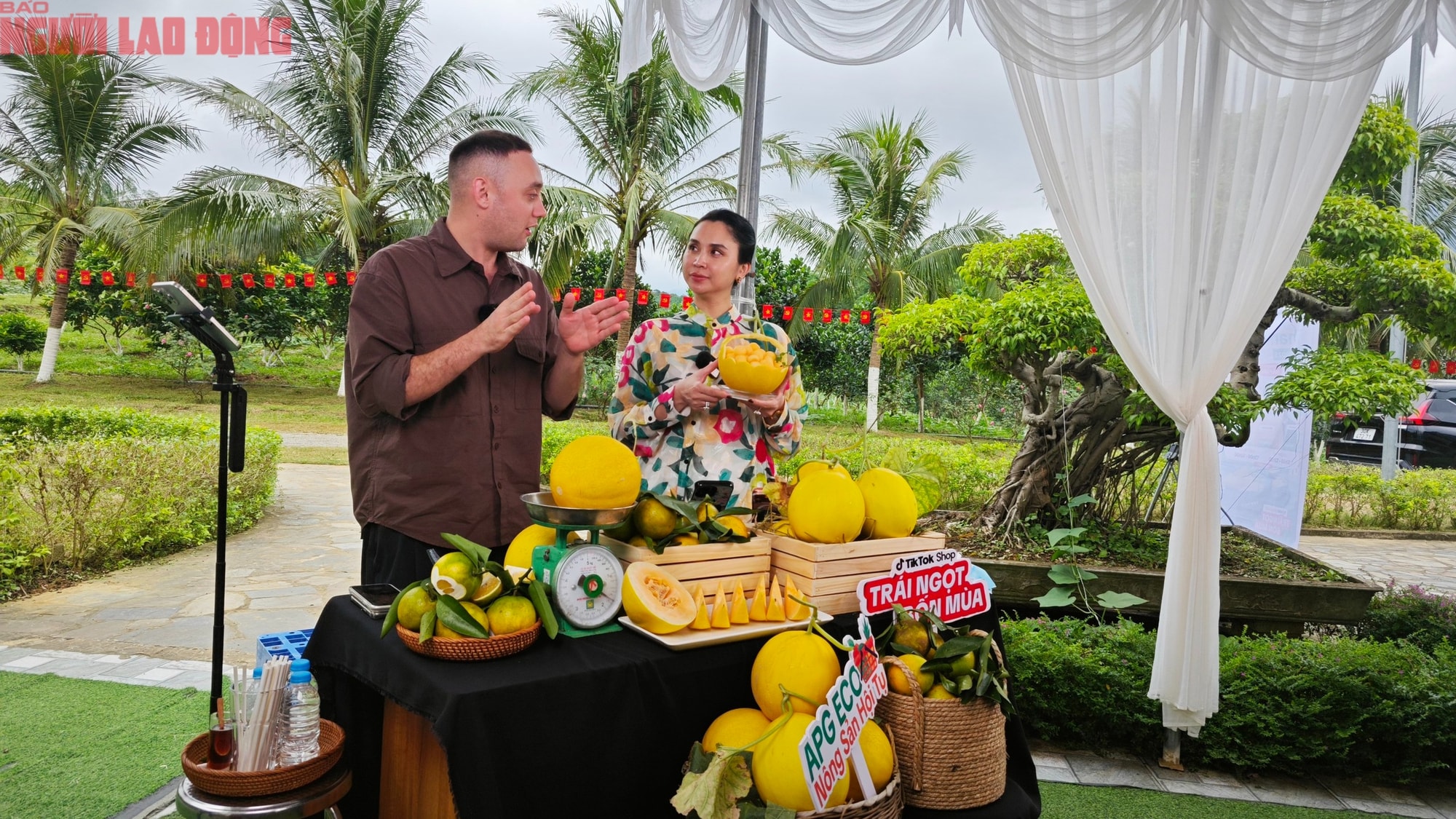 Đưa vườn cam, dưa kim hoàng hậu vùng cao lên sóng livestream - Ảnh 3.