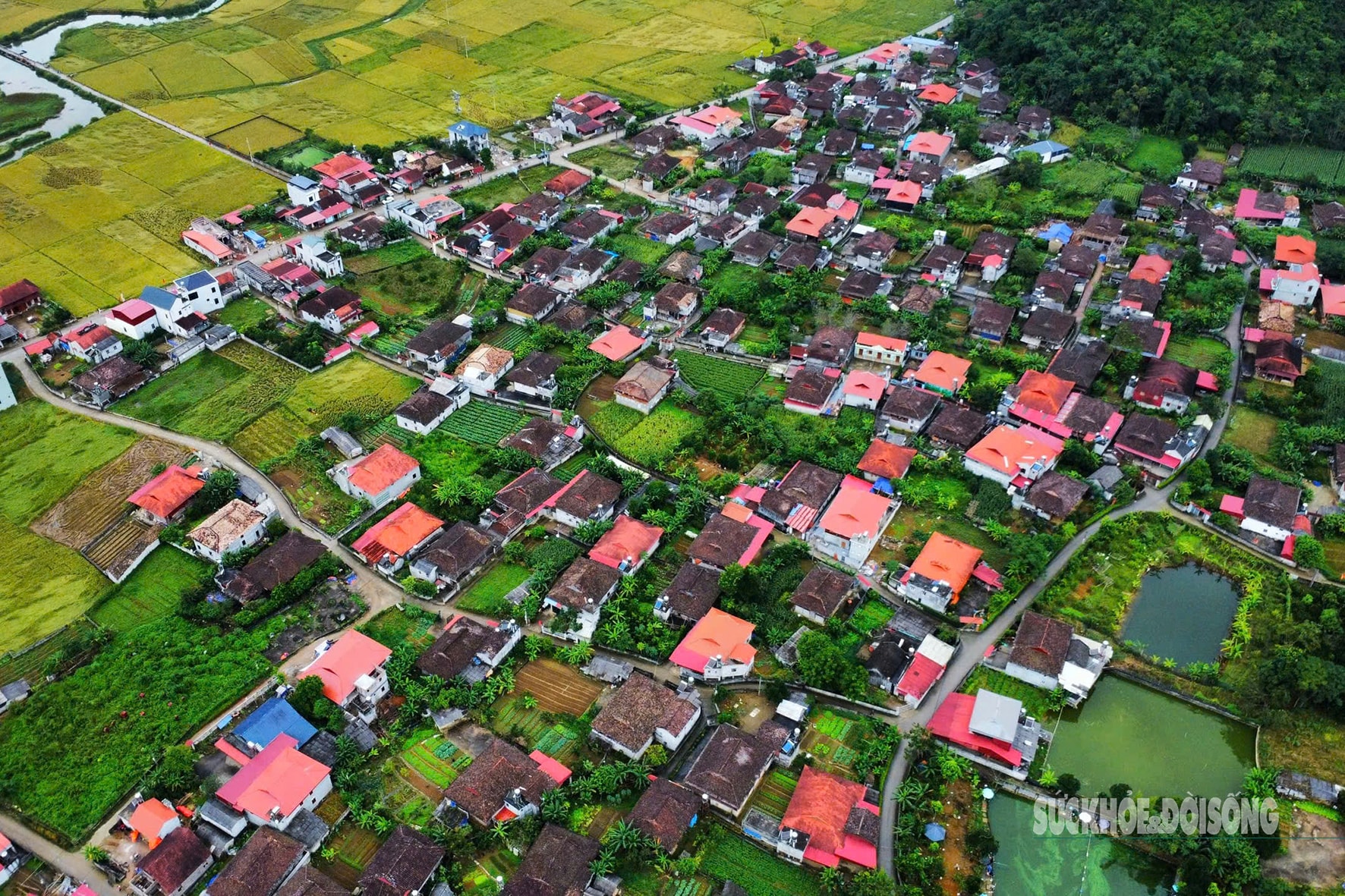 Quỳnh Sơn được Liên Hợp Quốc vinh danh là 'Làng du lịch tốt nhất 2025'- Ảnh 4. Quỳnh Sơn được Liên Hợp Quốc vinh danh là 'Làng du lịch tốt nhất 2025'- Ảnh 4.