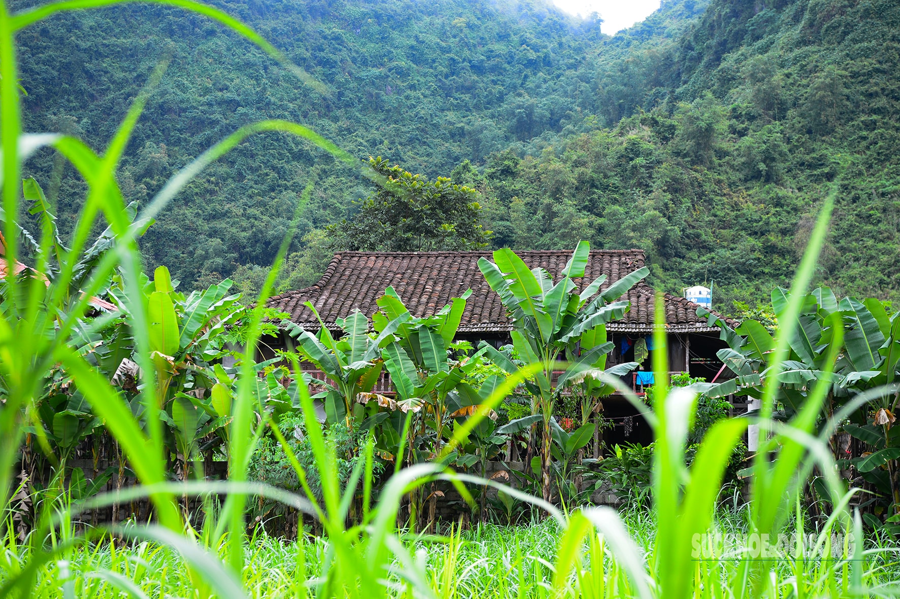 Quỳnh Sơn được Liên Hợp Quốc vinh danh là 'Làng du lịch tốt nhất 2025'- Ảnh 3. Quỳnh Sơn được Liên Hợp Quốc vinh danh là 'Làng du lịch tốt nhất 2025'- Ảnh 3.