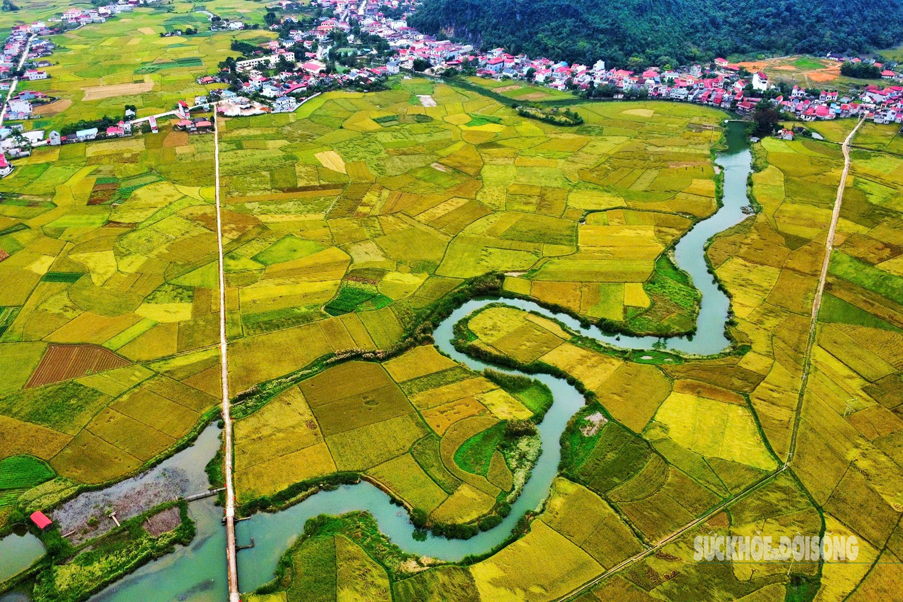 Quỳnh Sơn được Liên Hợp Quốc vinh danh là 'Làng du lịch tốt nhất 2025'- Ảnh 5. Quỳnh Sơn được Liên Hợp Quốc vinh danh là 'Làng du lịch tốt nhất 2025'- Ảnh 5.