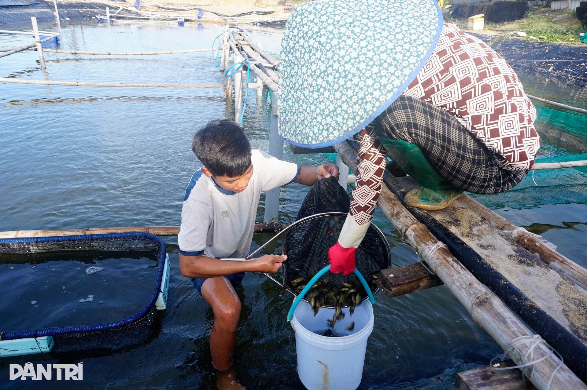 Ngư dân thất thần sau bão Kalmaegi: Trắng tay rồi, tan nát hết! - 11 Ngư dân thất thần sau bão Kalmaegi: Trắng tay rồi, tan nát hết! - 11