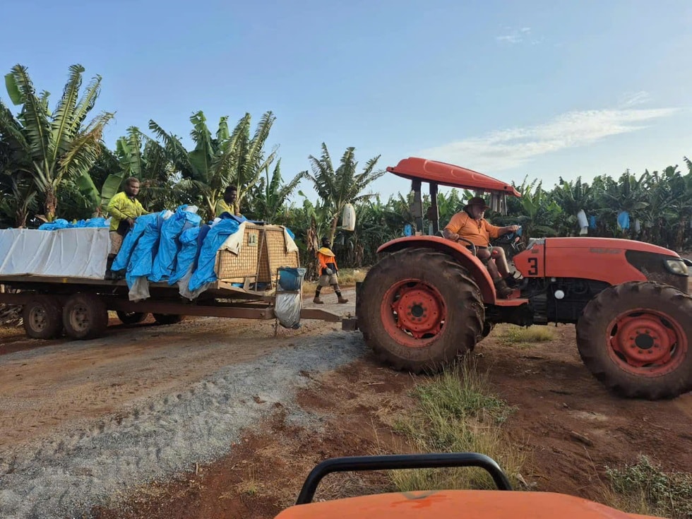 Kiếm trăm triệu mỗi tháng khi sang Úc làm nông - 4