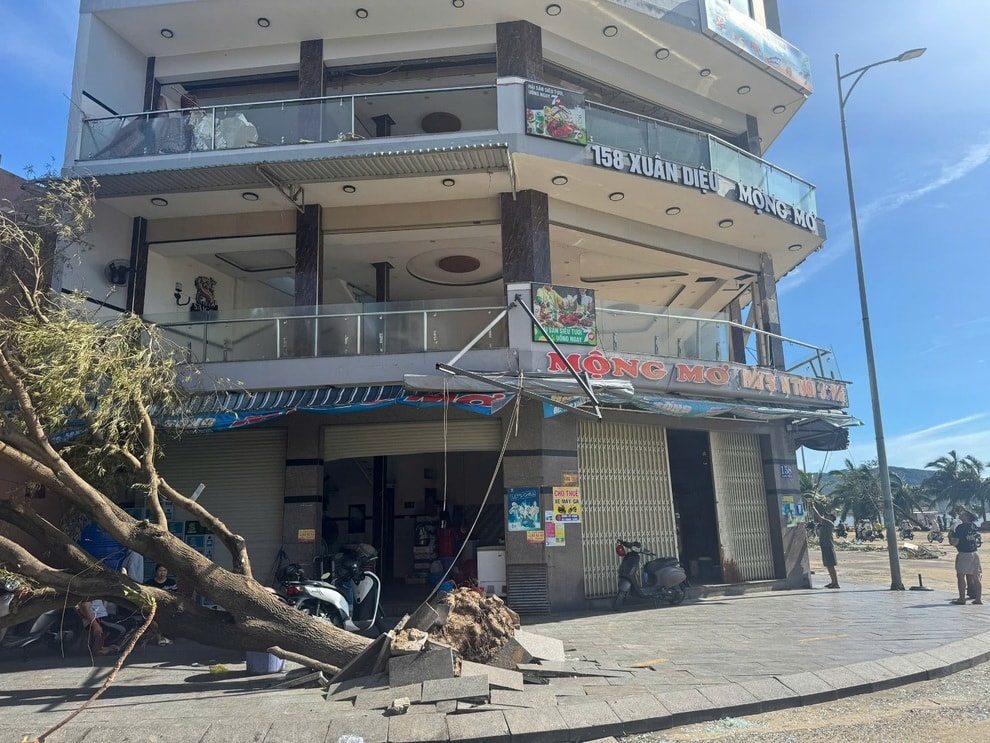 Chủ nhà hàng ở Quy Nhơn lạc giọng vì mất trắng 4 tỷ đồng sau bão Kalmaegi - 2 Chủ nhà hàng ở Quy Nhơn lạc giọng vì mất trắng 4 tỷ đồng sau bão Kalmaegi - 2