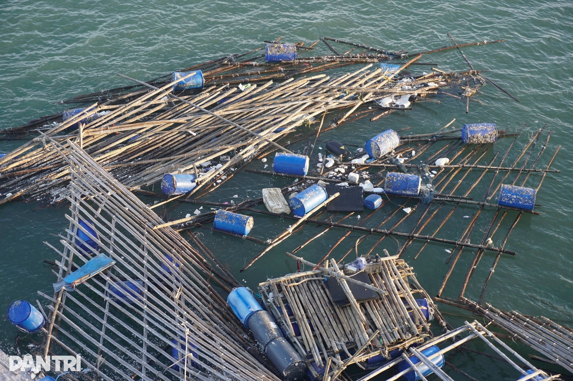 Ngư dân thất thần sau bão Kalmaegi: Trắng tay rồi, tan nát hết! - 2 Ngư dân thất thần sau bão Kalmaegi: Trắng tay rồi, tan nát hết! - 2