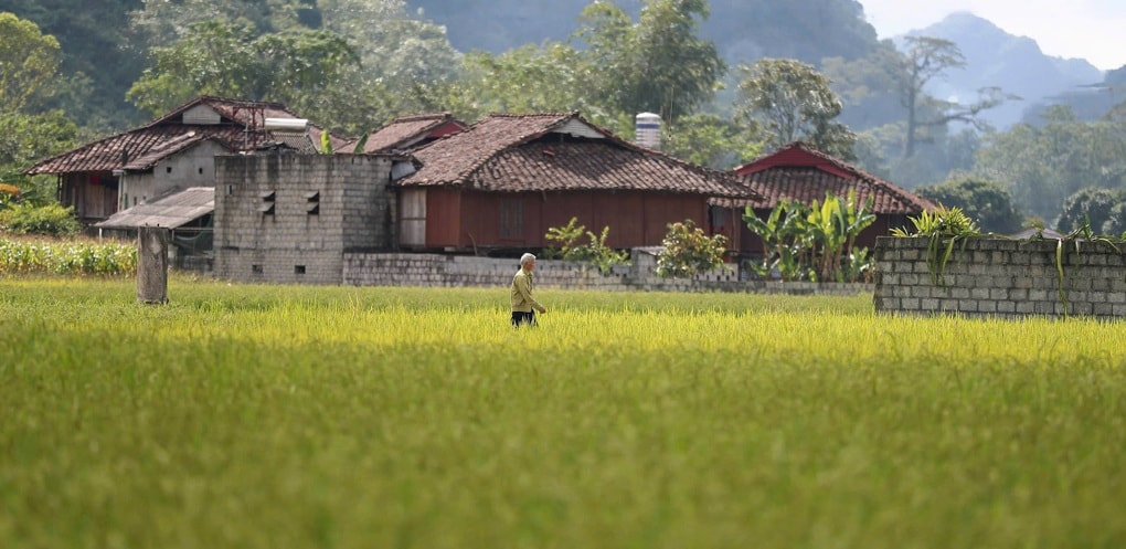 Ngôi làng người Tày ở Việt Nam là Làng du lịch tốt nhất thế giới 2025 - 1