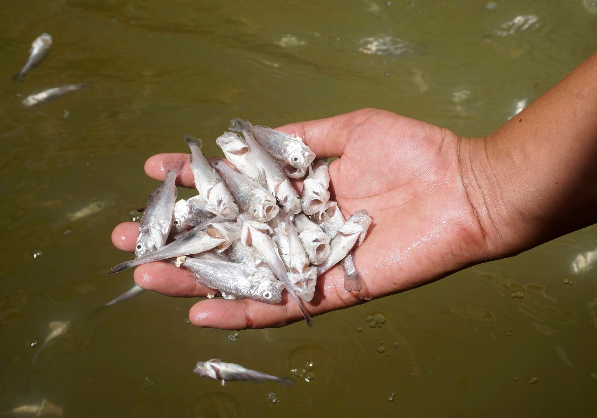 Ngư dân thất thần sau bão Kalmaegi: Trắng tay rồi, tan nát hết! - 8 Ngư dân thất thần sau bão Kalmaegi: Trắng tay rồi, tan nát hết! - 8