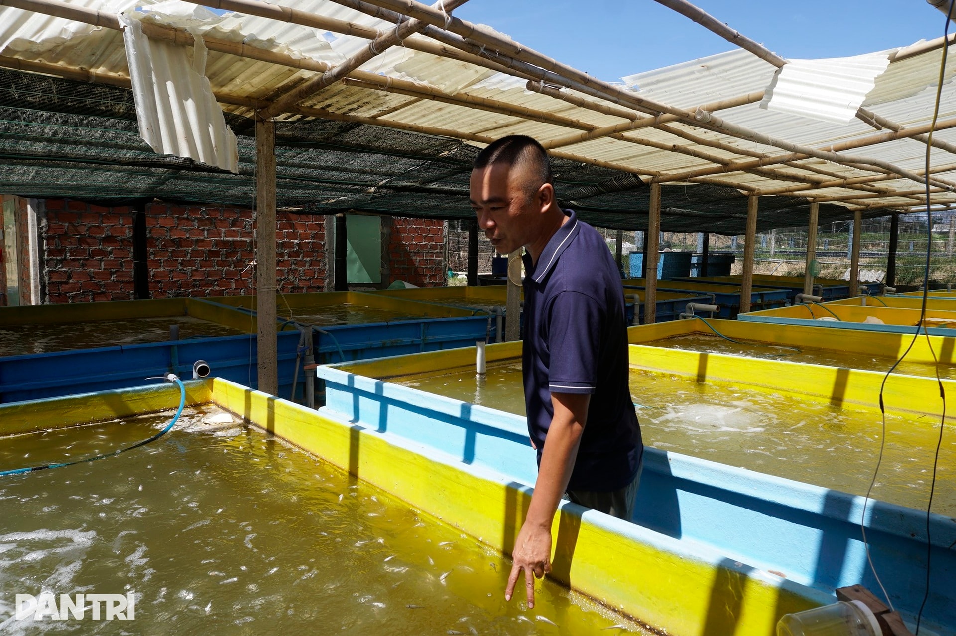 Ngư dân thất thần sau bão Kalmaegi: Trắng tay rồi, tan nát hết! - 7 Ngư dân thất thần sau bão Kalmaegi: Trắng tay rồi, tan nát hết! - 7