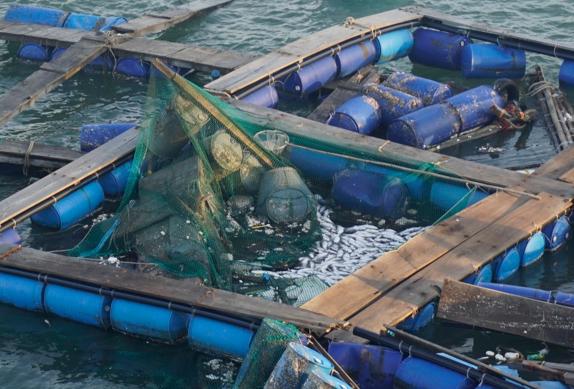 Ngư dân thất thần sau bão Kalmaegi: Trắng tay rồi, tan nát hết! - 5 Ngư dân thất thần sau bão Kalmaegi: Trắng tay rồi, tan nát hết! - 5